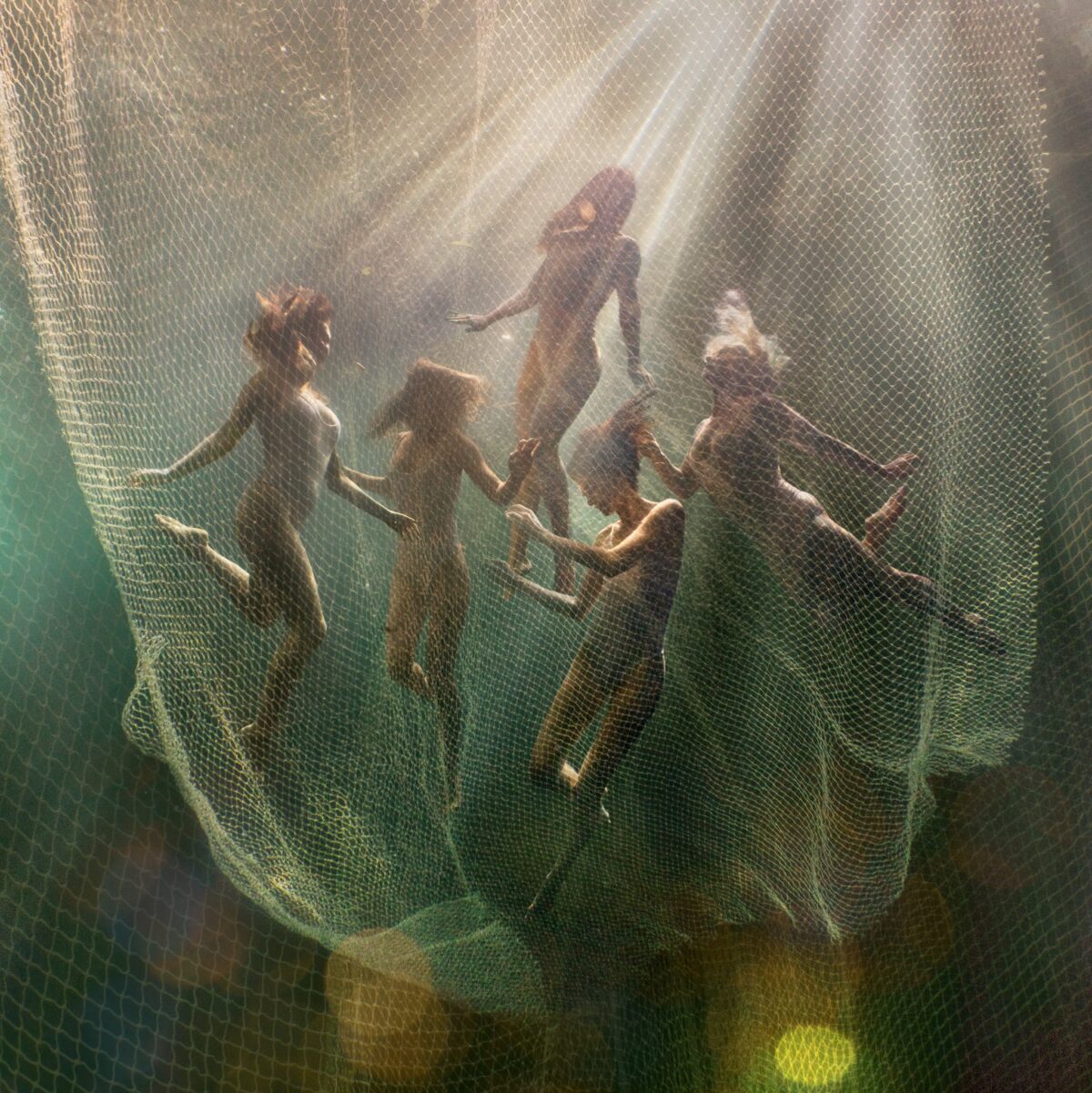 The Majestic Underwater Photography Of Lexi Laine 9