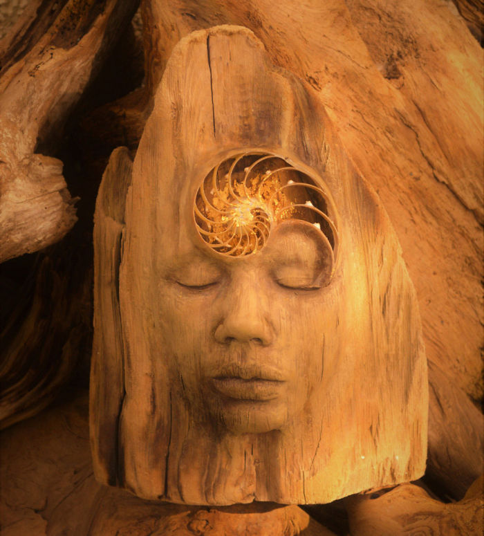 Elements Of Nature Transformed Into Stunning Mystical Sculptures By Debra Bernier 18
