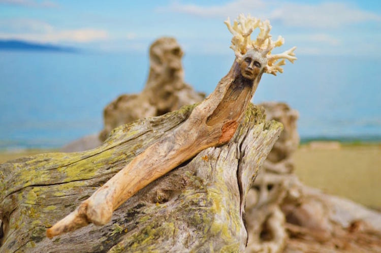 Elements Of Nature Transformed Into Stunning Mystical Sculptures By Debra Bernier 3