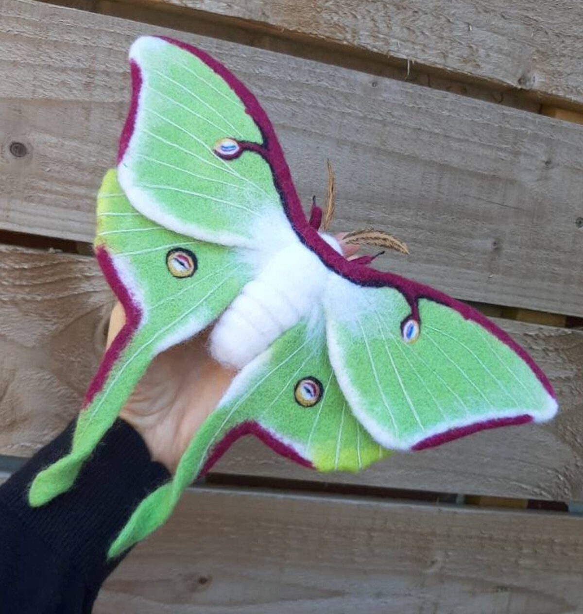 Lovely Realistic Needle Felted Moths By Stella Collins 10