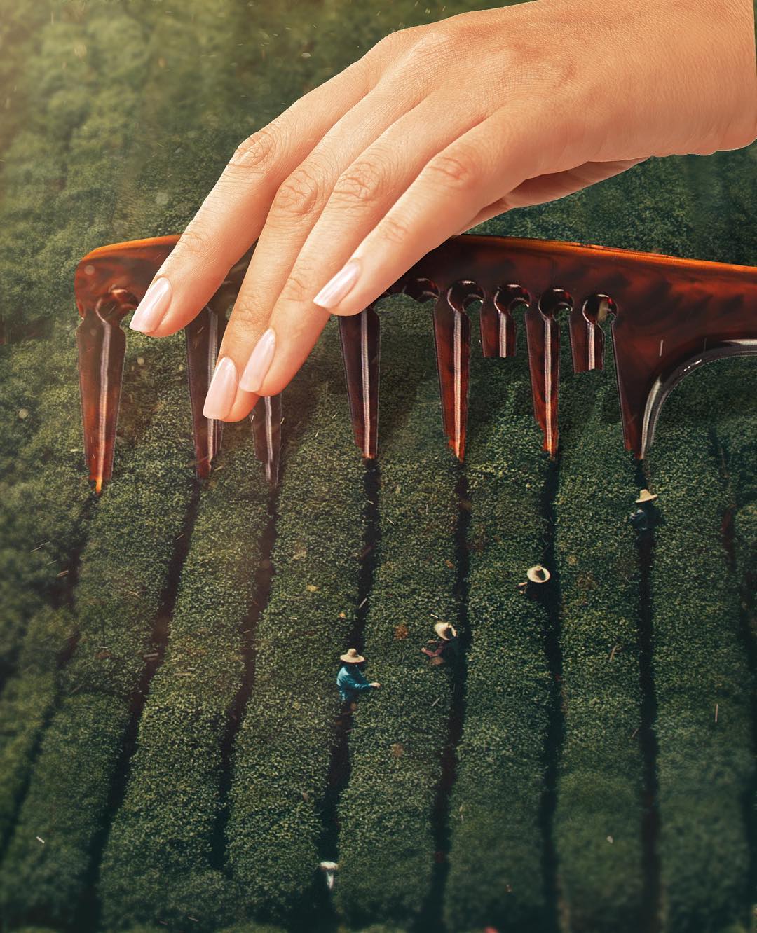 Magnificent Digital Collages By Huseyin Sahin 4