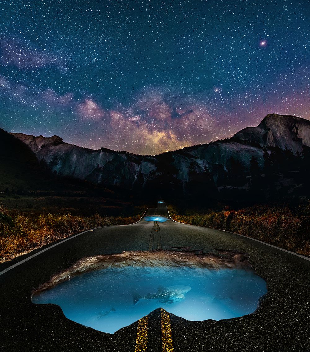 Magnificent Digital Collages By Huseyin Sahin 5