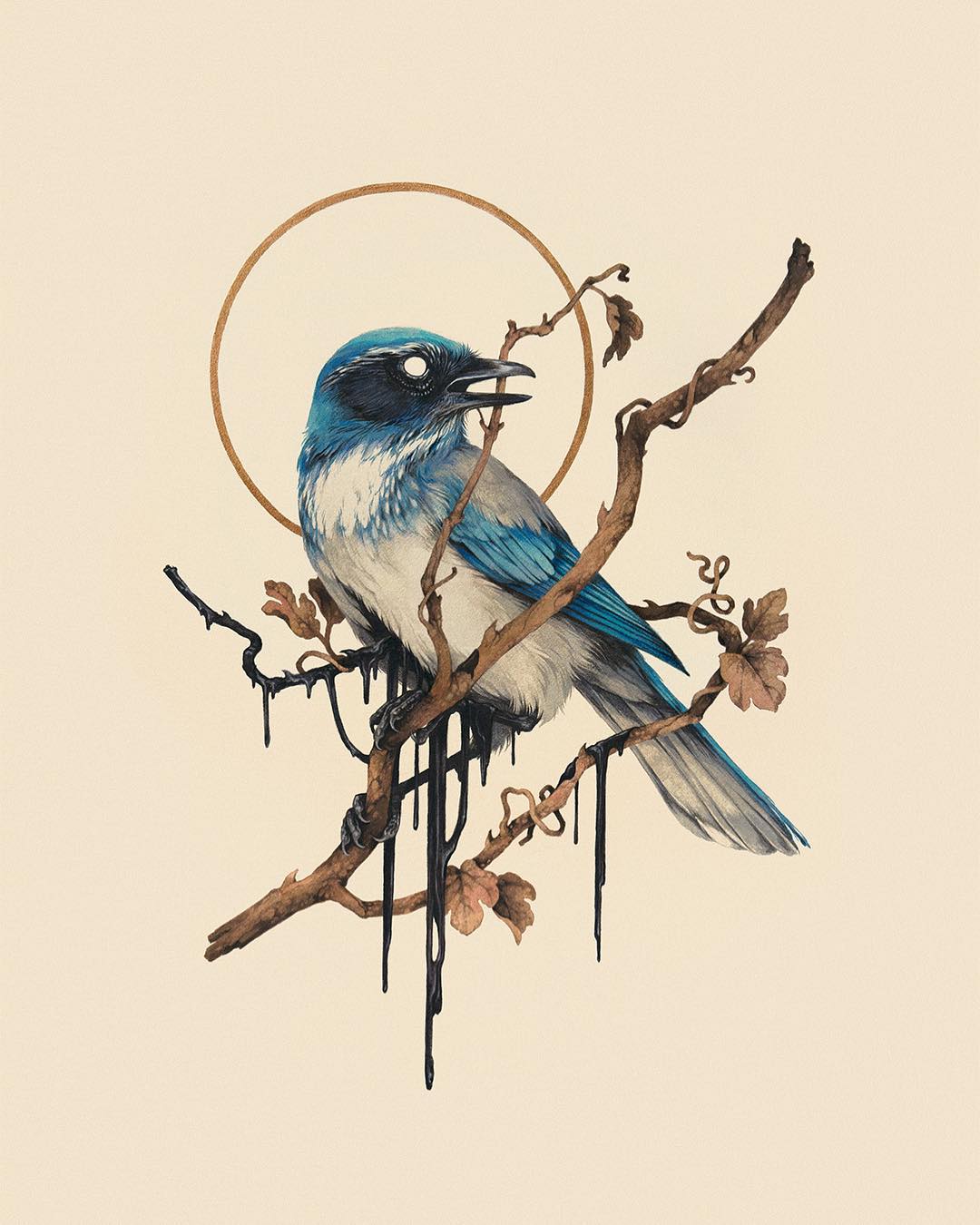 Sublime Flora And Fauna Illustrative Paintings By Teagan White 1