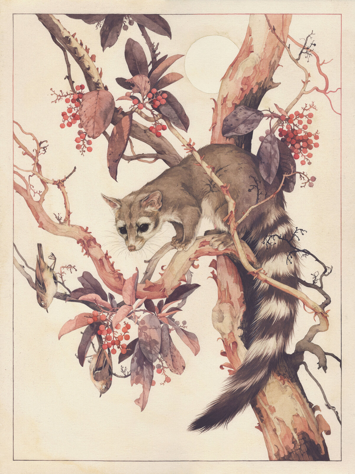 Sublime Flora And Fauna Illustrative Paintings By Teagan White 14