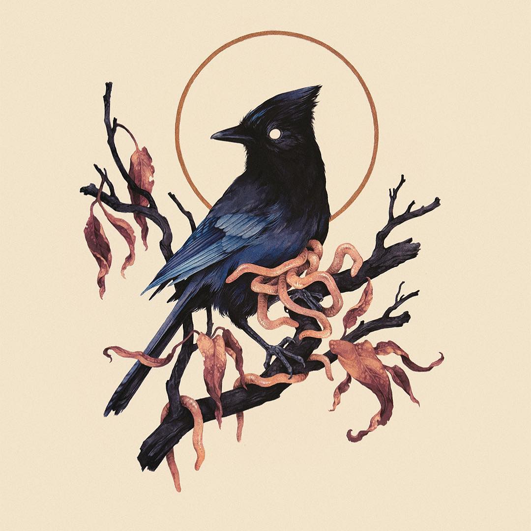 Sublime Flora And Fauna Illustrative Paintings By Teagan White 5