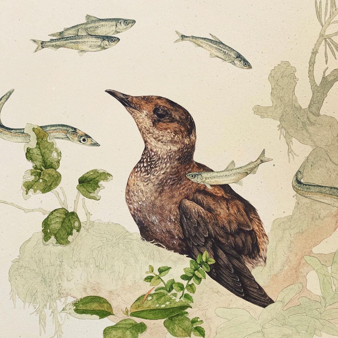 Sublime Flora And Fauna Illustrative Paintings By Teagan White 6