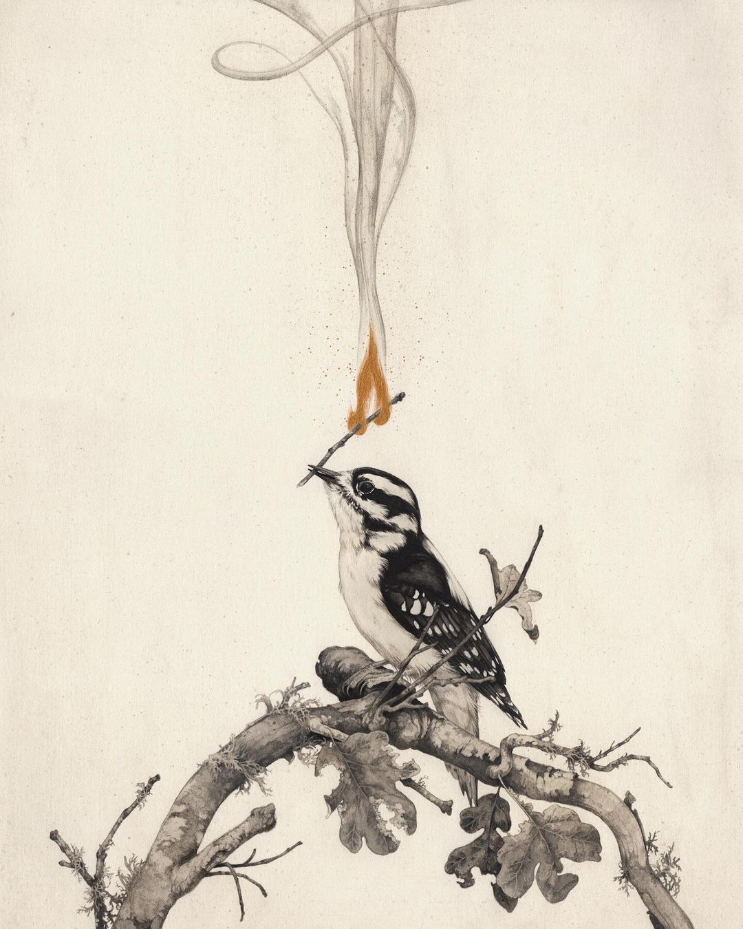 Sublime Flora And Fauna Illustrative Paintings By Teagan White 8