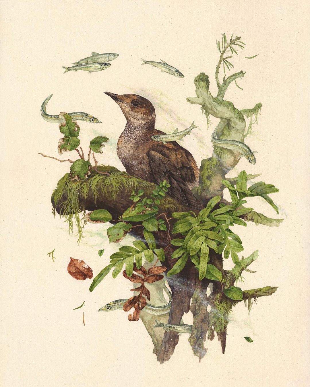 Sublime Flora And Fauna Illustrative Paintings By Teagan White 9