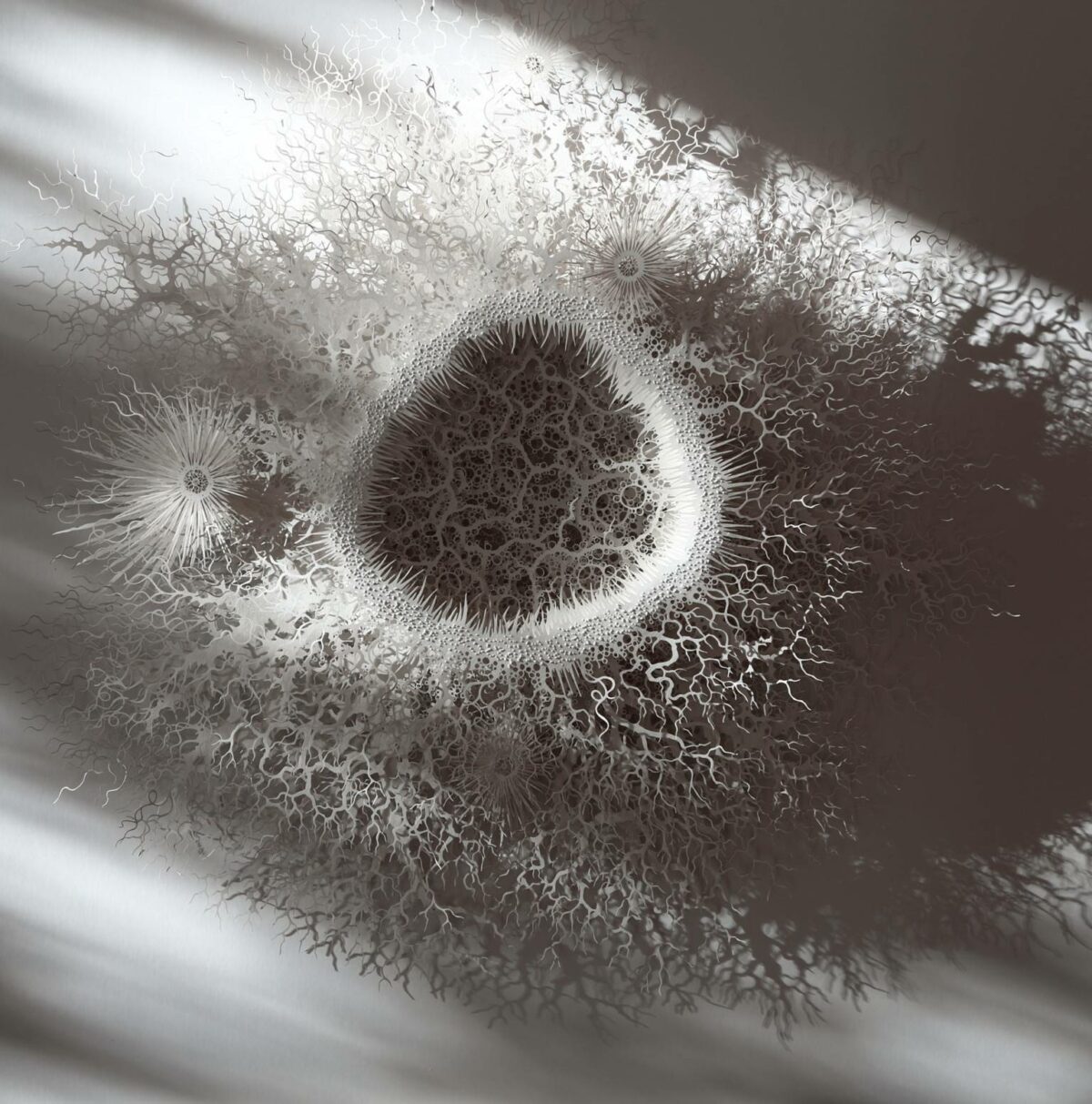 The Beautifully Intricate Paper Cut Sculptures Inspired By Corals And Microorganisms Of Rogan Brown 27