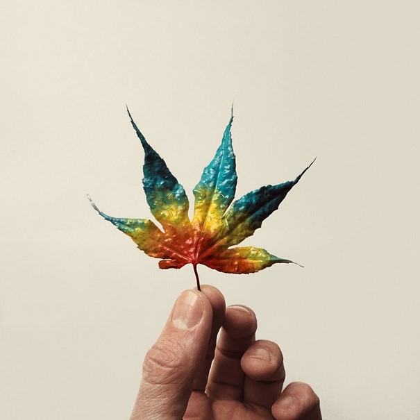 Turquoise Gorgeous Photo Compositions By Benedetto Demaio 29