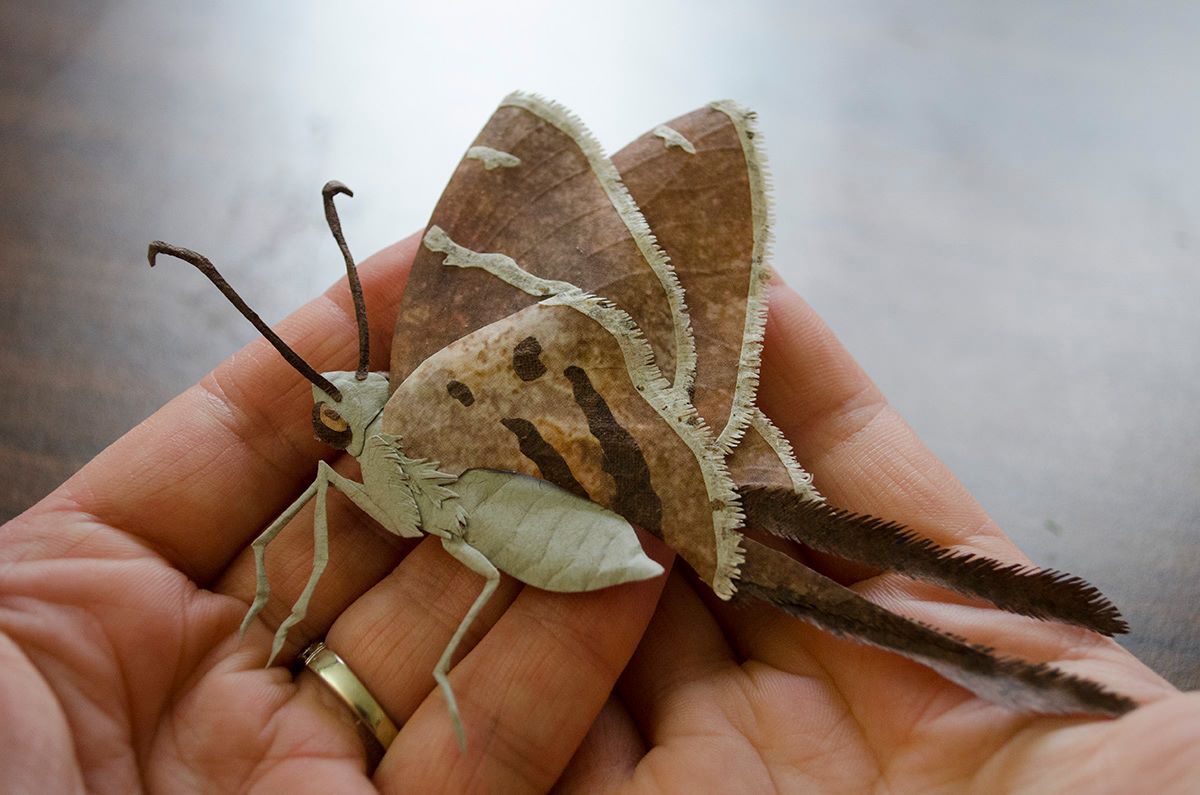 Wildlife In Paper Striking Paper Cut Sculptures By Tiffany Miller Russell 3