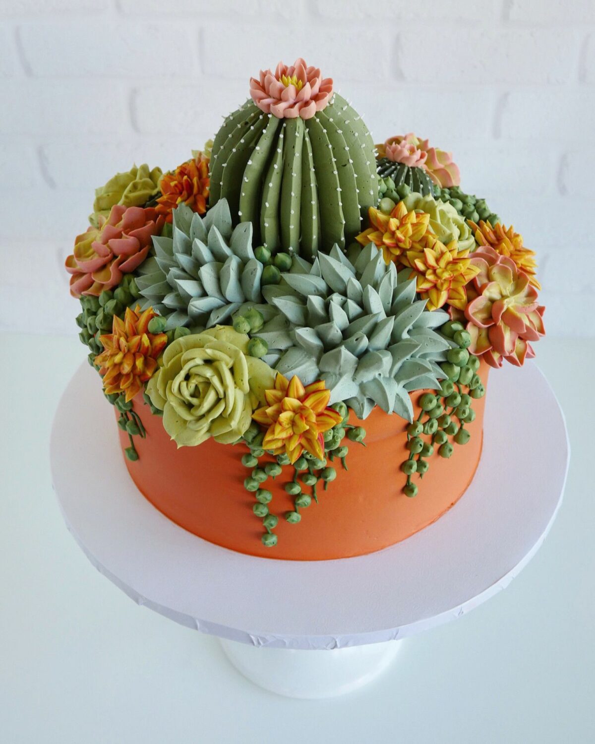 Wonderful Buttercream Cacti And Succulents By Leslie Vigil 8