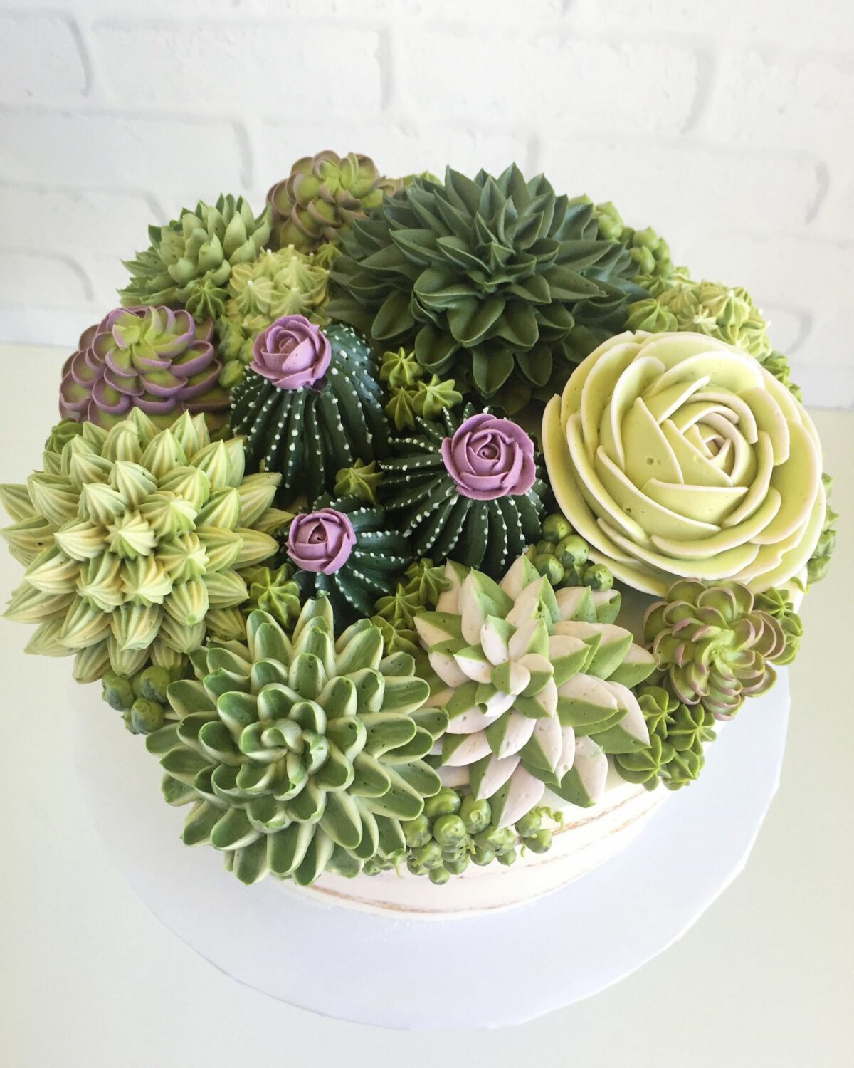 Wonderful Buttercream Cacti And Succulents By Leslie Vigil 9