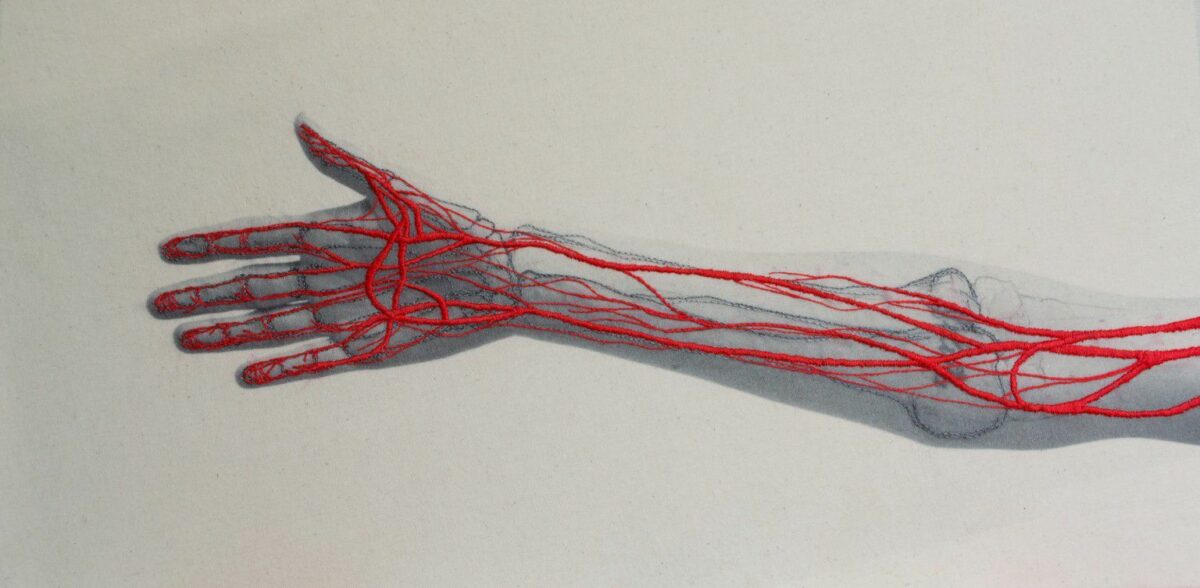 Constructal Self Portraits Embroidered With Anatomical Figures By Juana Gomez 7