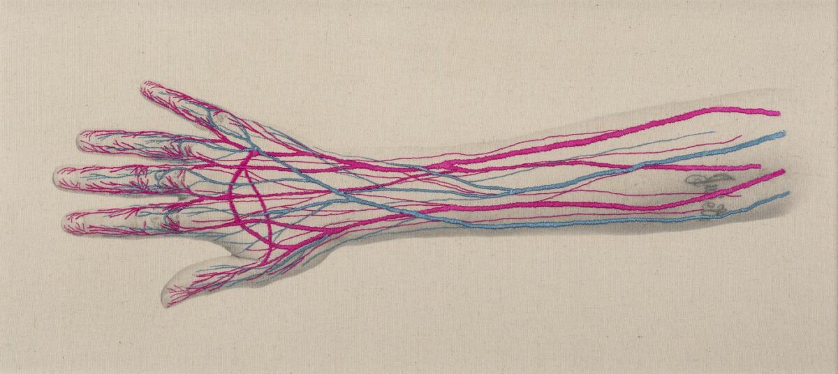 Constructal Self Portraits Embroidered With Anatomical Figures By Juana Gomez 8