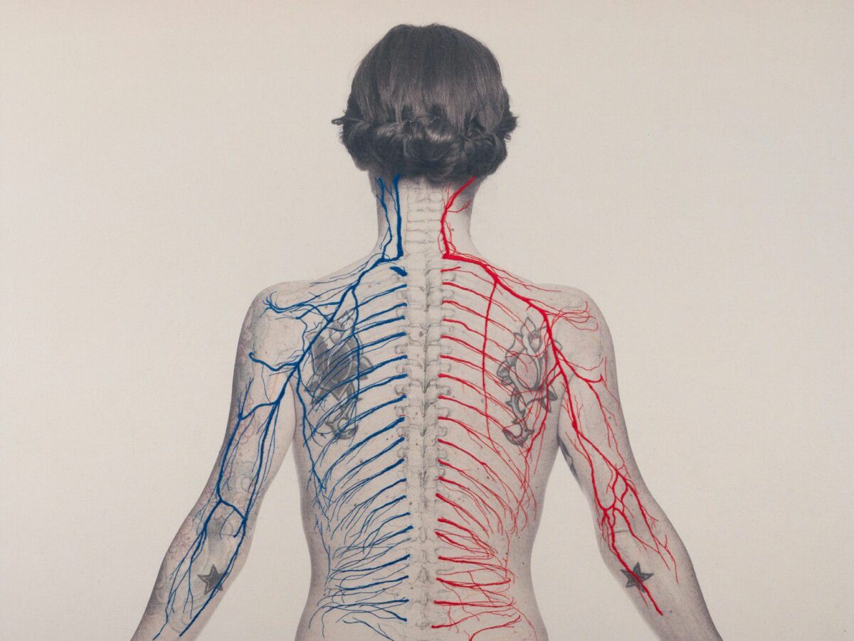 Constructal Self Portraits Embroidered With Anatomical Figures By Juana Gomez 9