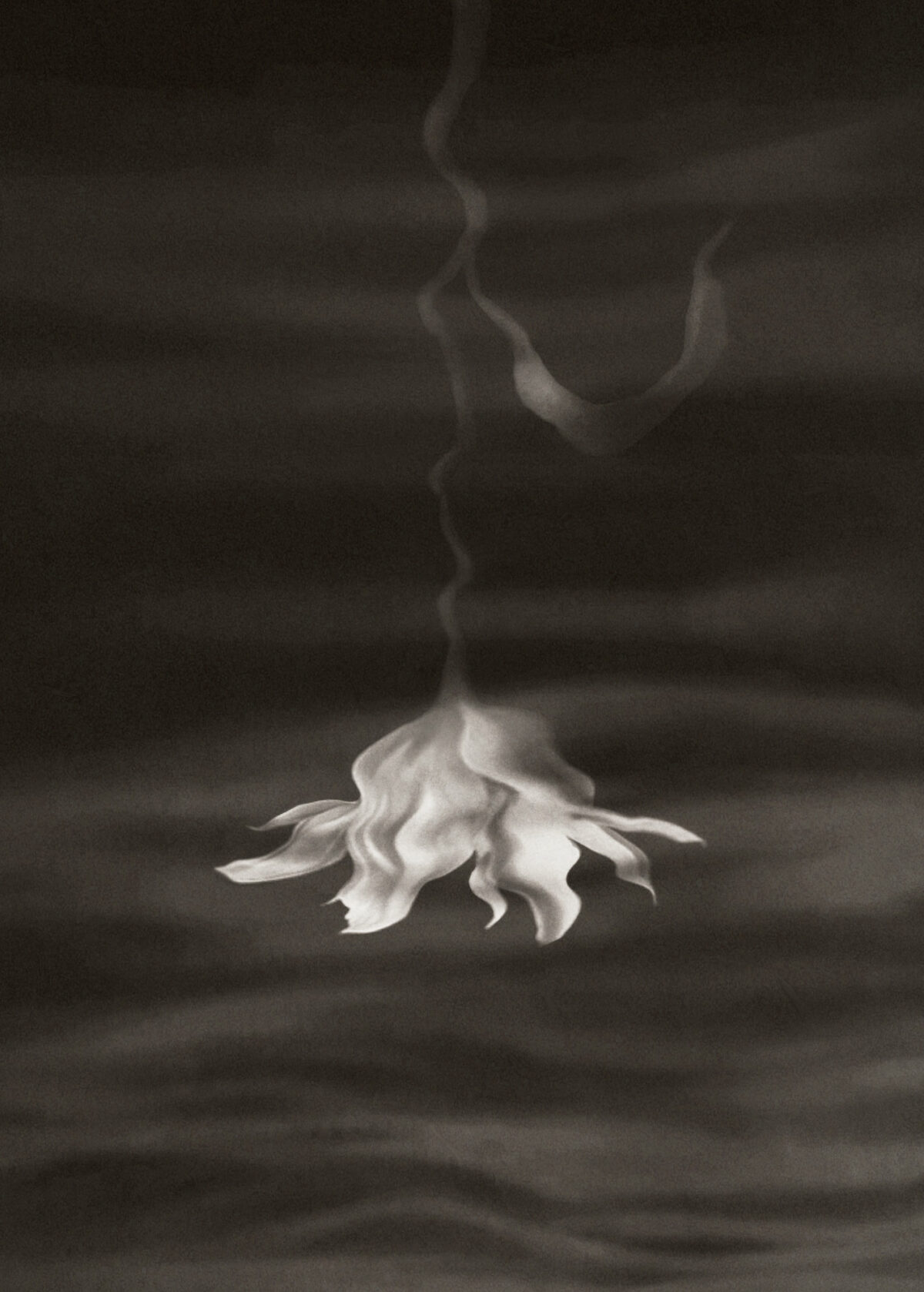 Intimate And Thoughtful Black And White Illustrations By Marco Palena 8