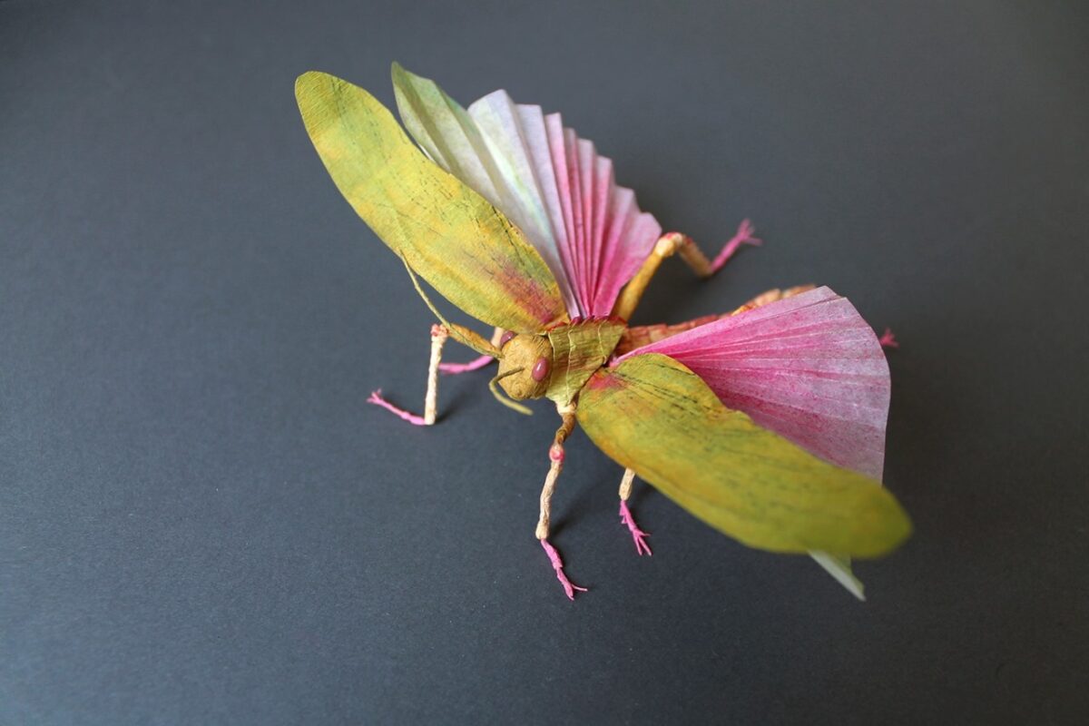 Life Like Paper Sculptures Of Animals And Plants By Tina Kraus 10