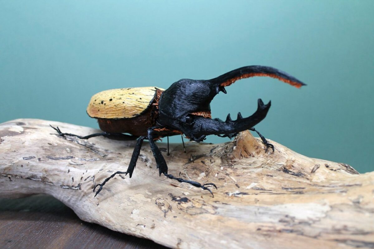 Life Like Paper Sculptures Of Animals And Plants By Tina Kraus 13