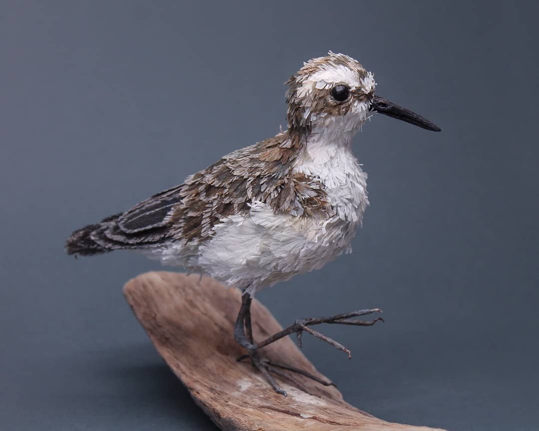 Life Like Paper Sculptures Of Animals And Plants By Tina Kraus 15