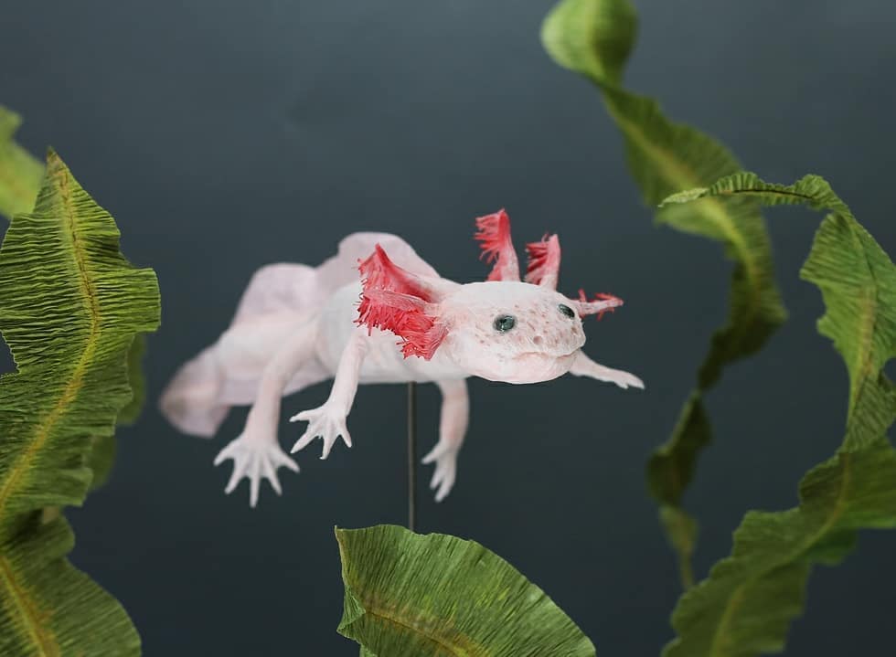 Life Like Paper Sculptures Of Animals And Plants By Tina Kraus 2