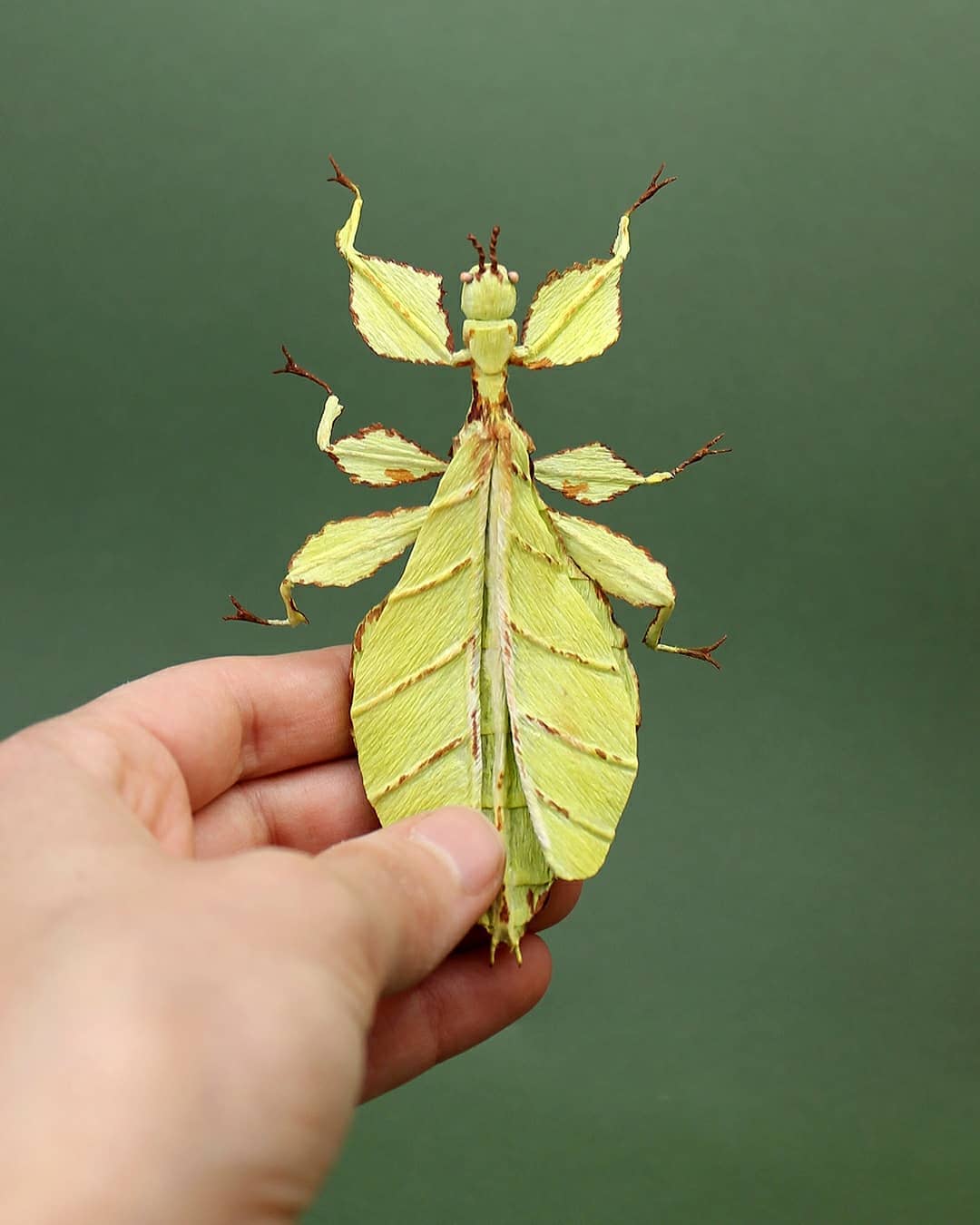 Life Like Paper Sculptures Of Animals And Plants By Tina Kraus 3