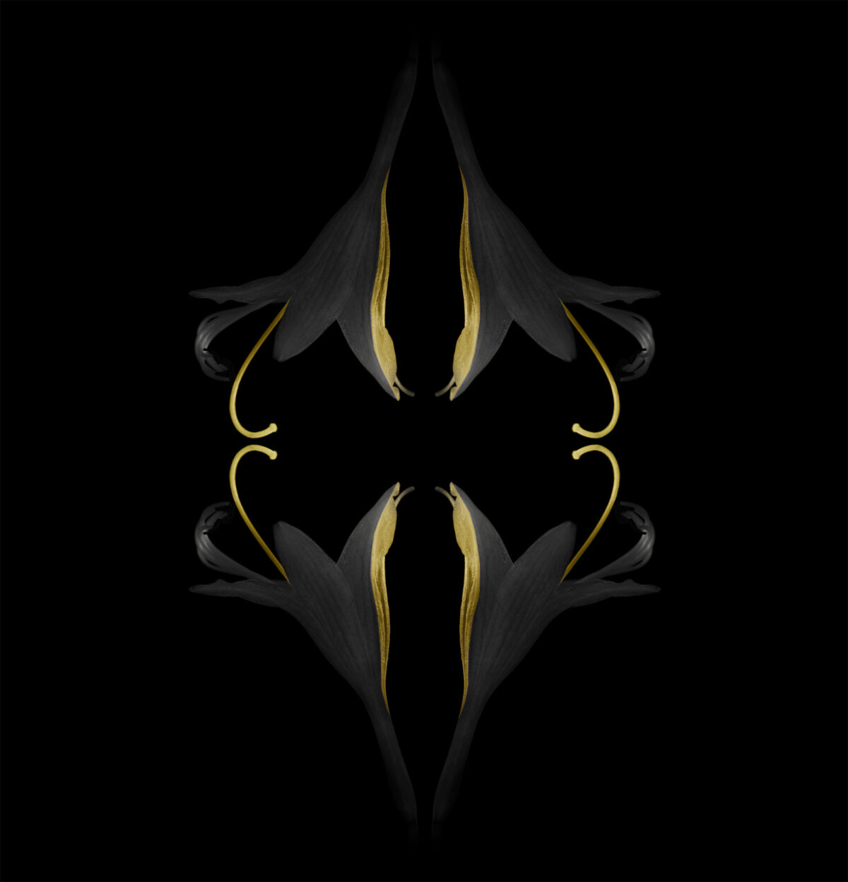 Miracles In Gardens A Sublime Photographic Series By Viera Babecova 10