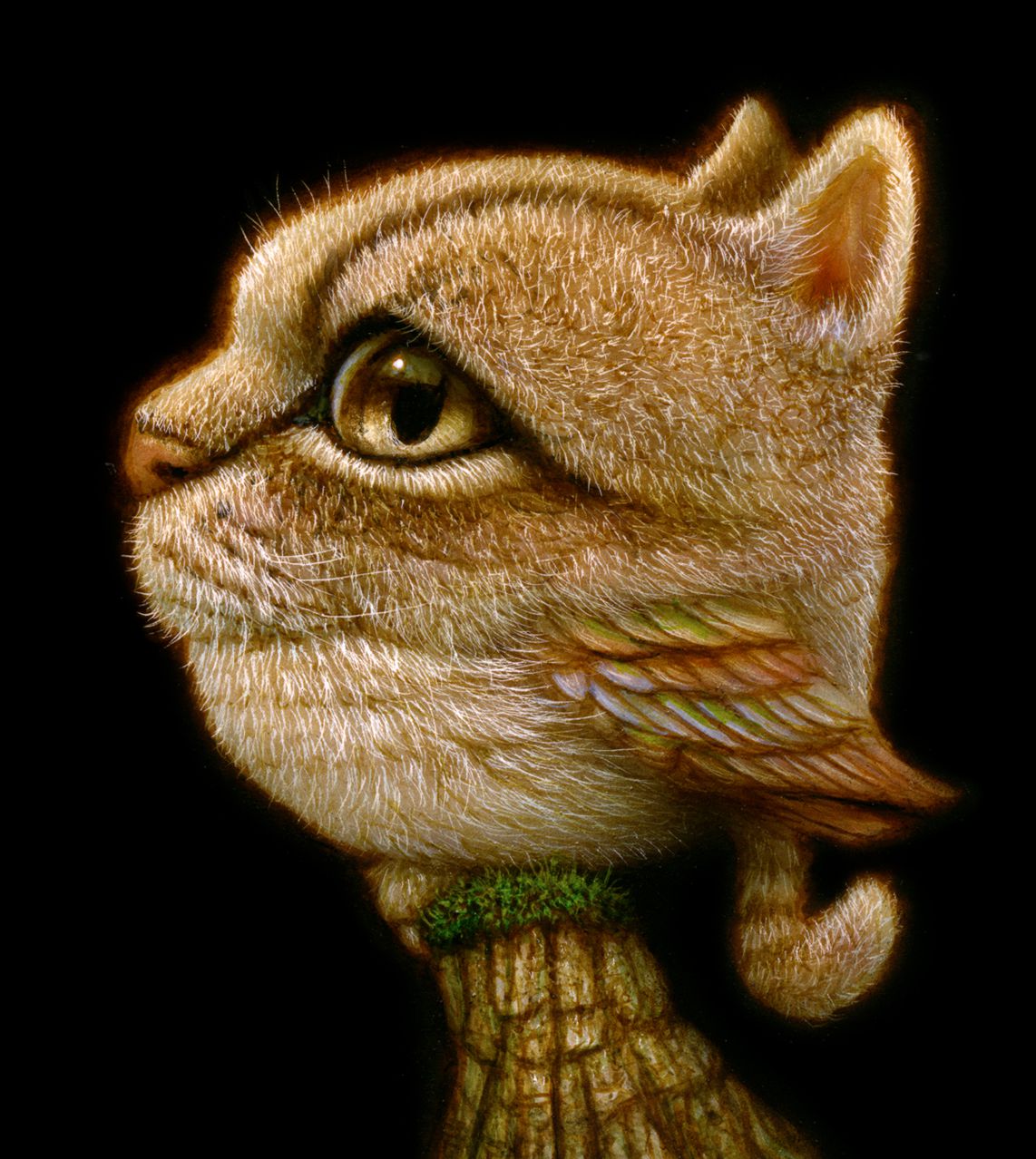 Quirky Fantastical Creatures With Oversized Eyes By Haoto Nattori 19