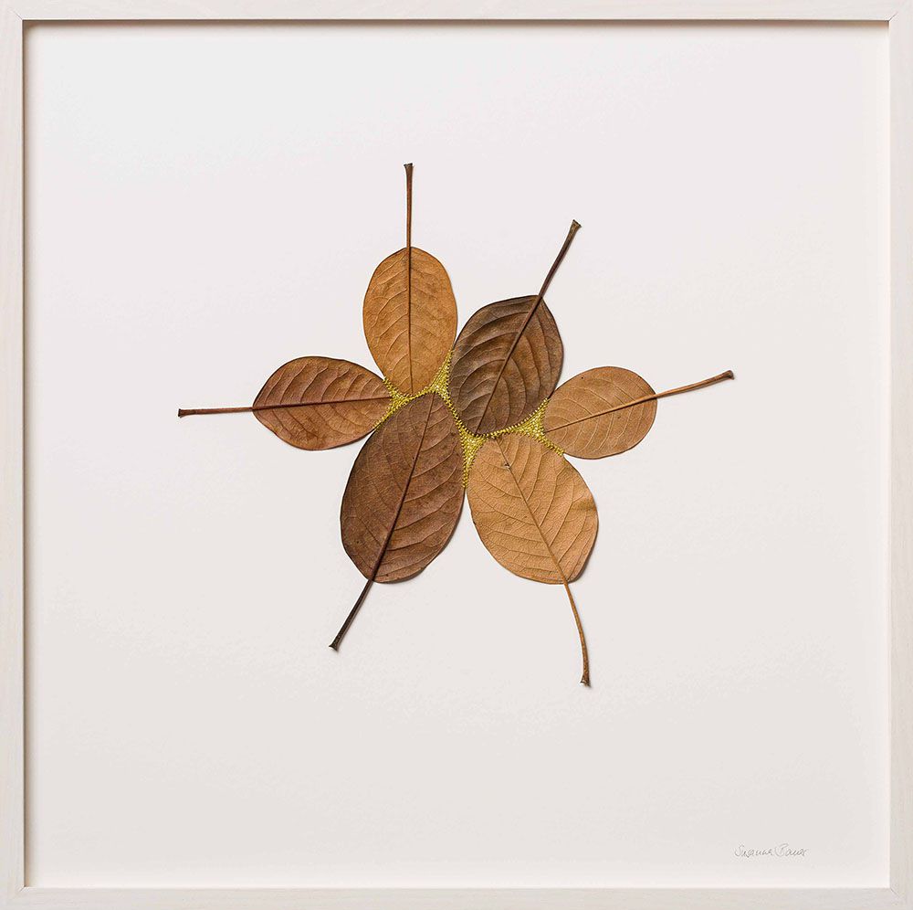 Beautiful Sculptures Of Dried Leaves Crocheted Delicate Patterns By Susanna Bauer 10