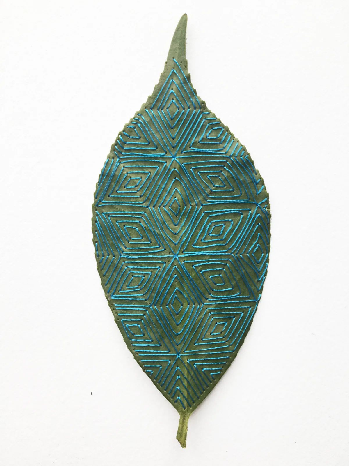 Beautiful Sculptures Of Dried Leaves Crocheted Delicate Patterns By Susanna Bauer 14
