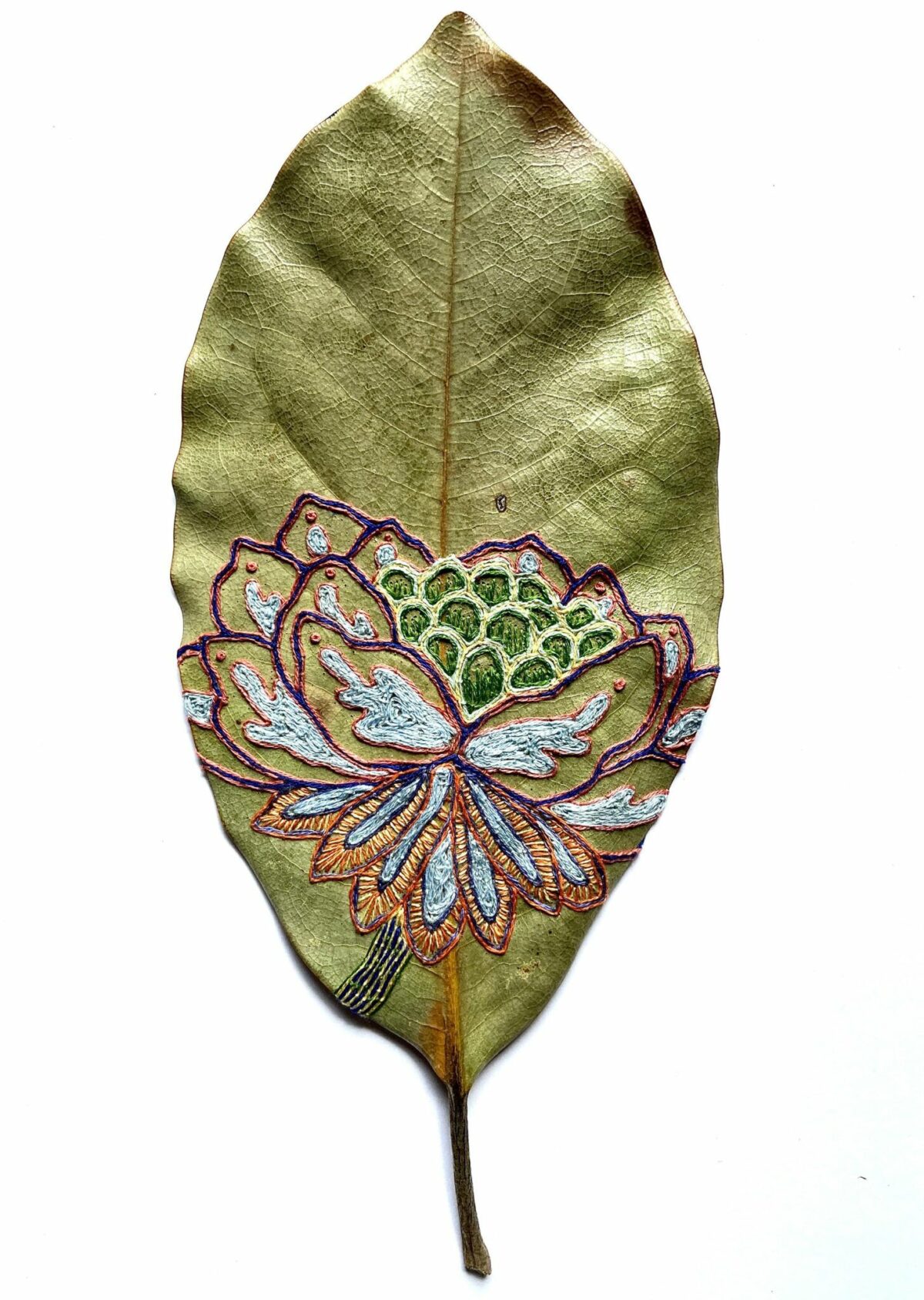 Beautiful Sculptures Of Dried Leaves Crocheted Delicate Patterns By Susanna Bauer 15