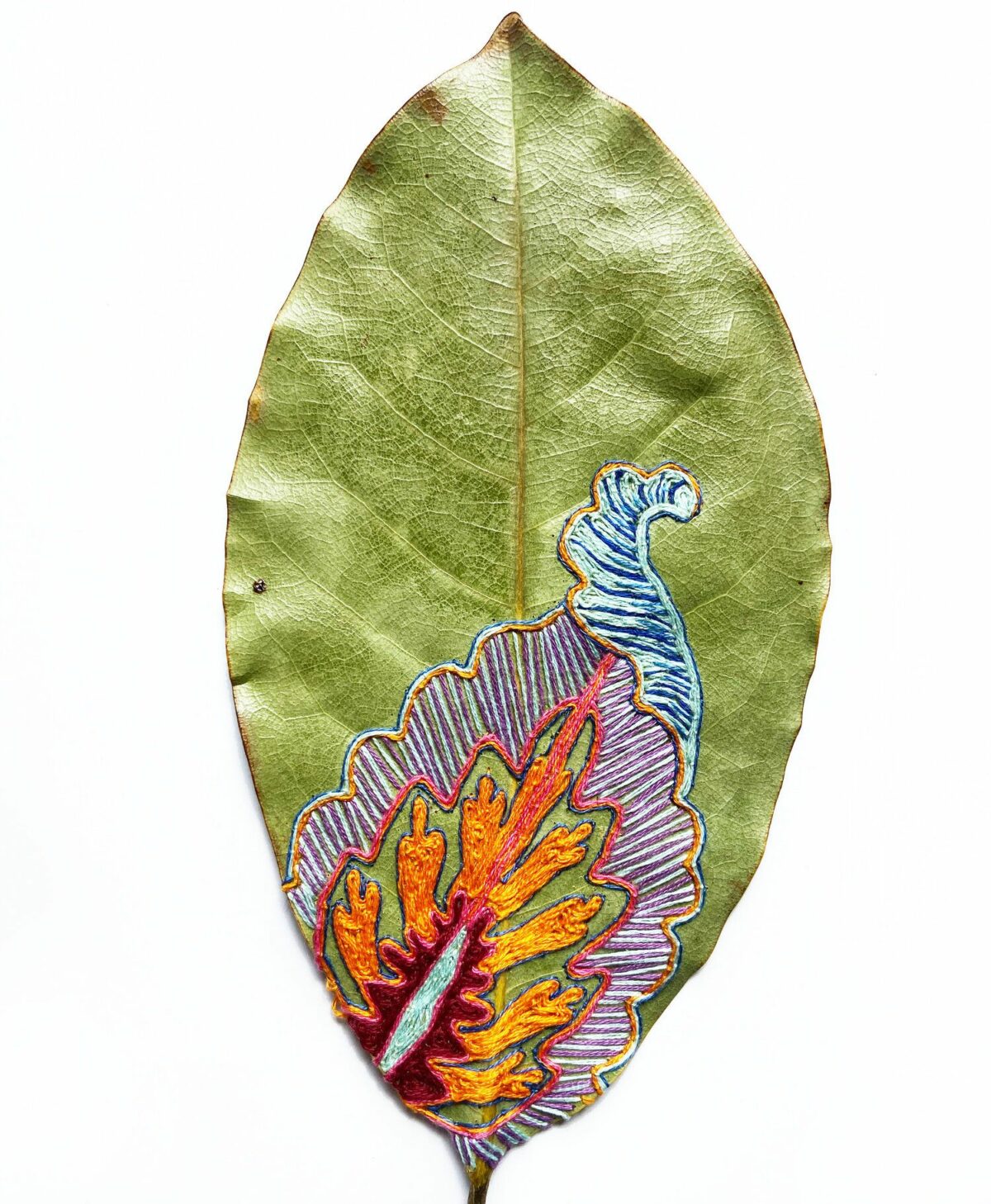 Beautiful Sculptures Of Dried Leaves Crocheted Delicate Patterns By Susanna Bauer 16