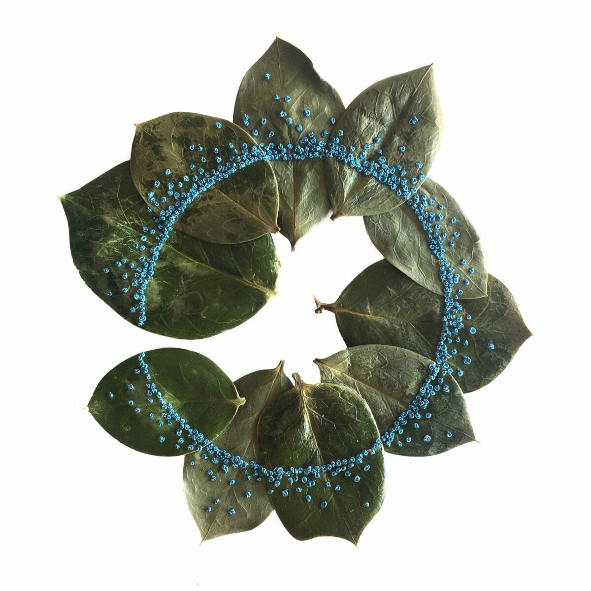 Beautiful Sculptures Of Dried Leaves Crocheted Delicate Patterns By Susanna Bauer 18