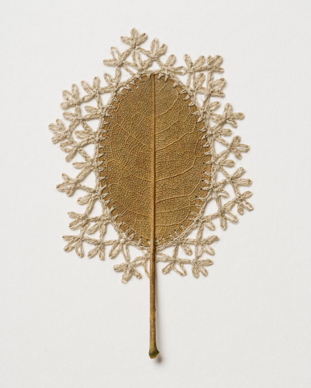 Beautiful Sculptures Of Dried Leaves Crocheted Delicate Patterns By Susanna Bauer 2