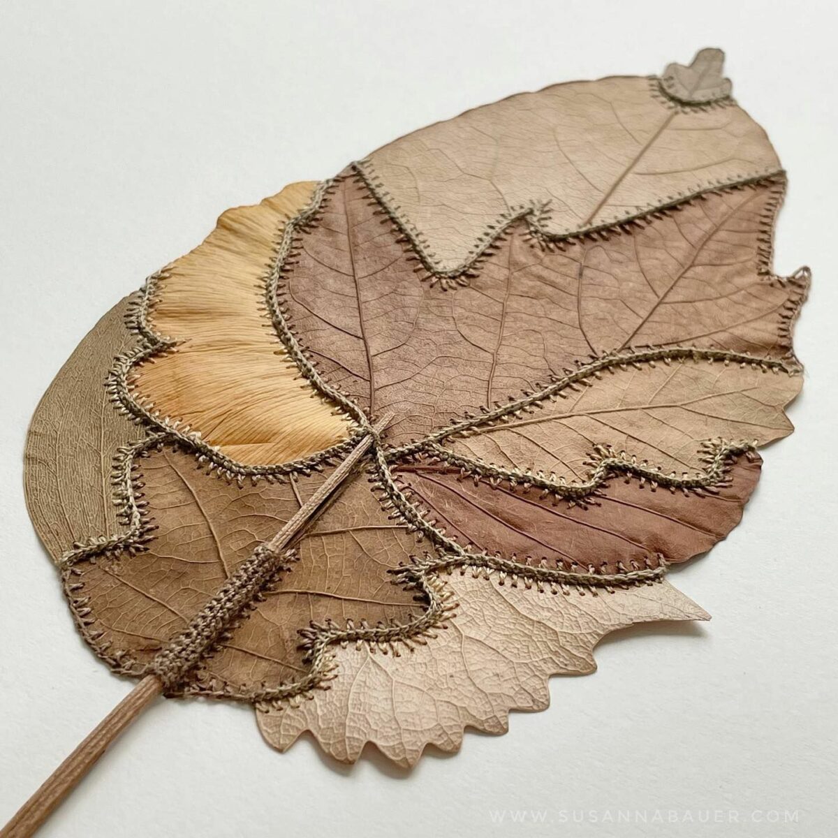 Beautiful Sculptures Of Dried Leaves Crocheted Delicate Patterns By Susanna Bauer 3