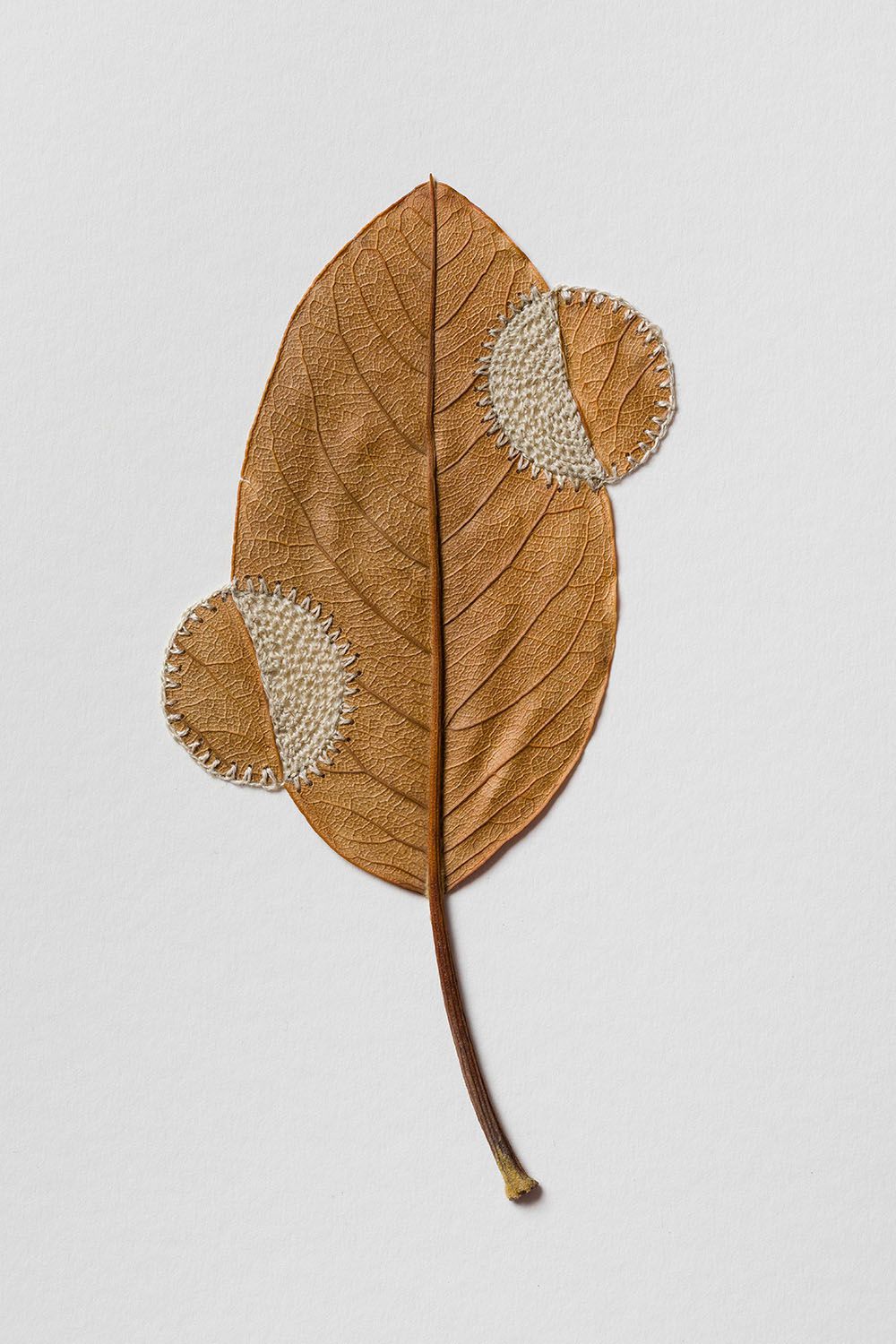 Beautiful Sculptures Of Dried Leaves Crocheted Delicate Patterns By Susanna Bauer 8