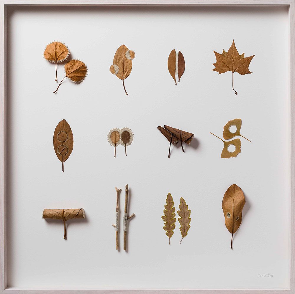 Beautiful Sculptures Of Dried Leaves Crocheted Delicate Patterns By Susanna Bauer 9