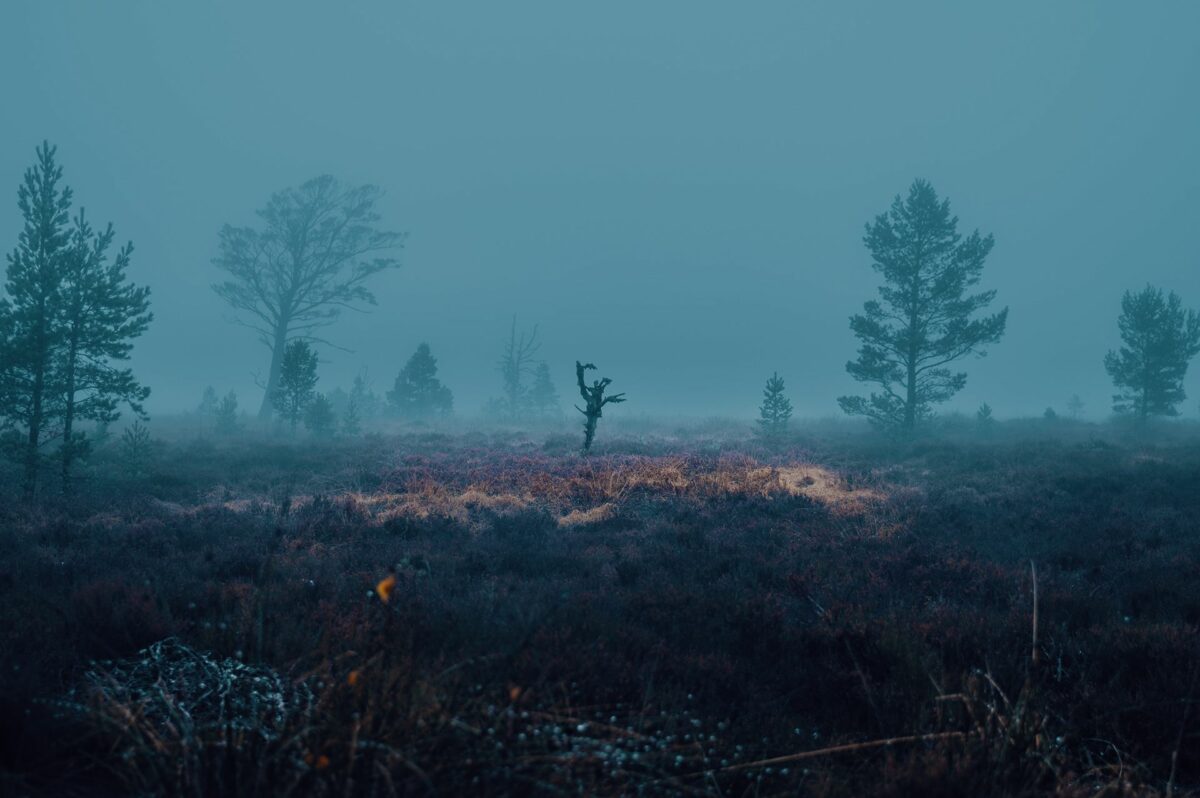 Bright Beyond This Black A Fascinating Photographic Series By Dean Pearson 1