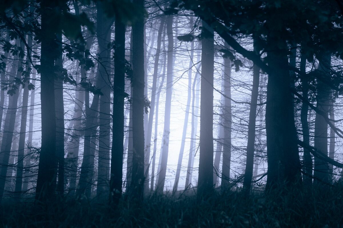 Bright Beyond This Black A Fascinating Photographic Series By Dean Pearson 11