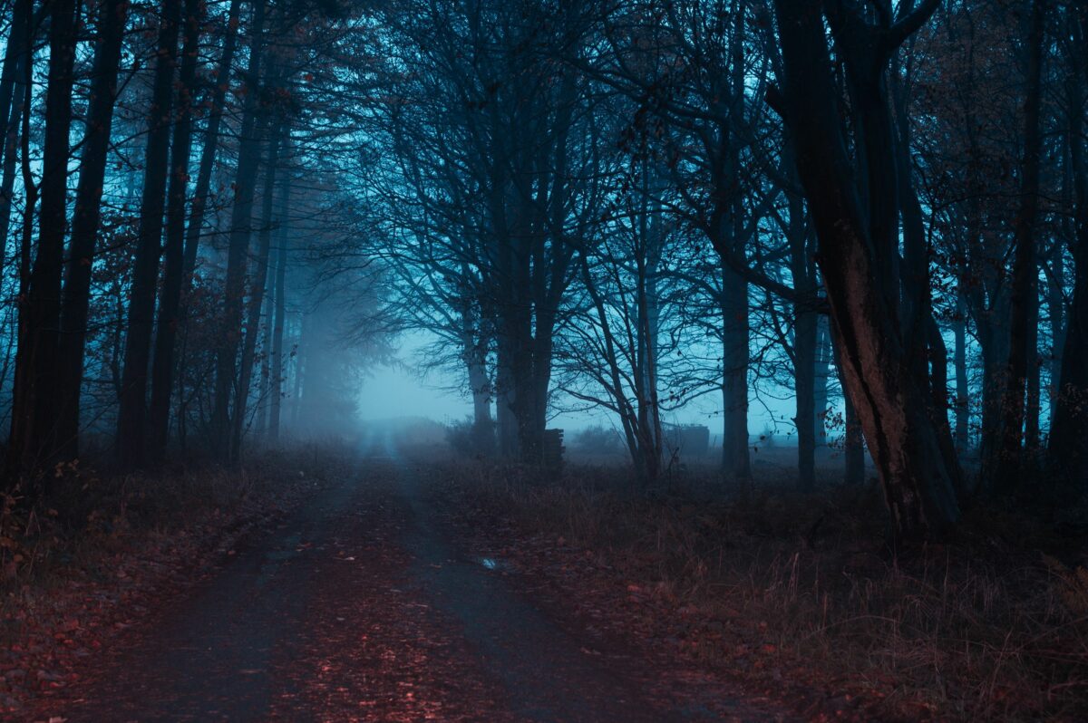 Bright Beyond This Black A Fascinating Photographic Series By Dean Pearson 12