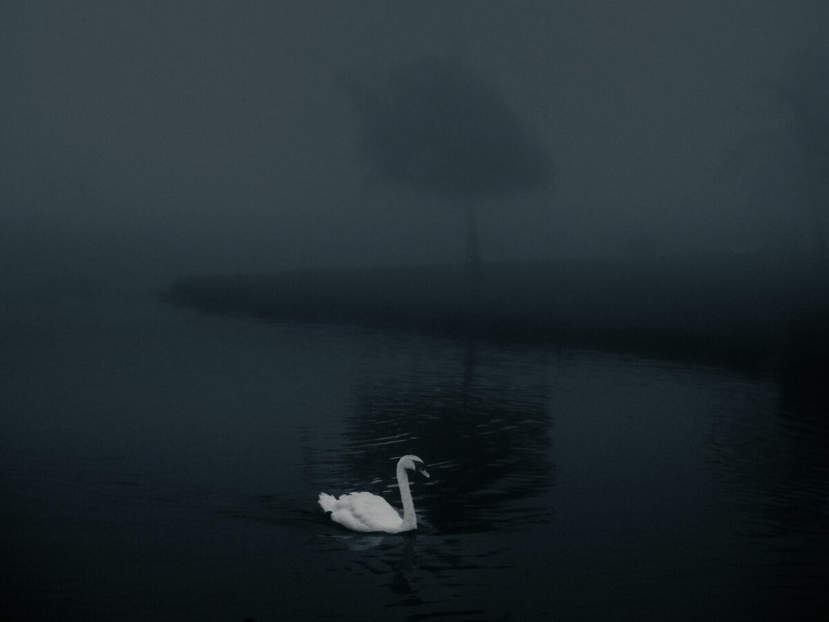 Bright Beyond This Black A Fascinating Photographic Series By Dean Pearson 17