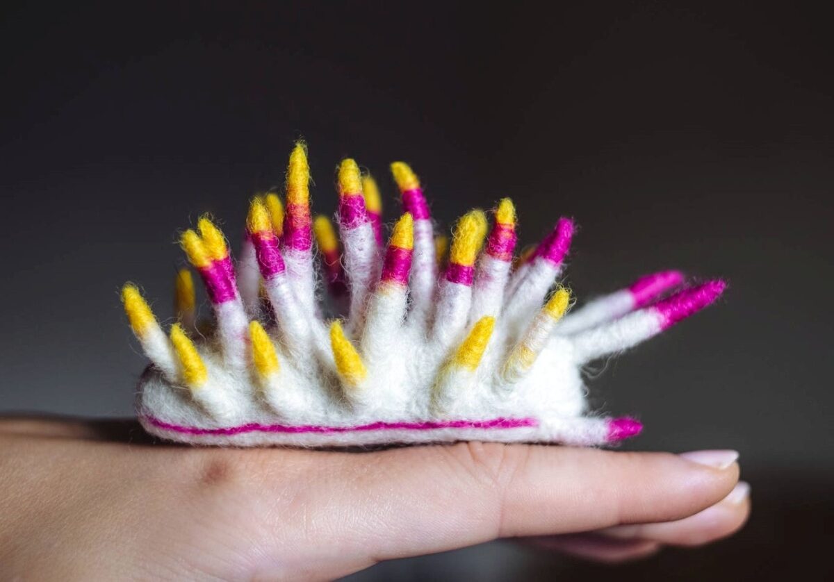 Colorful Needle Felted Sea Slugs By Arina Borevich 11