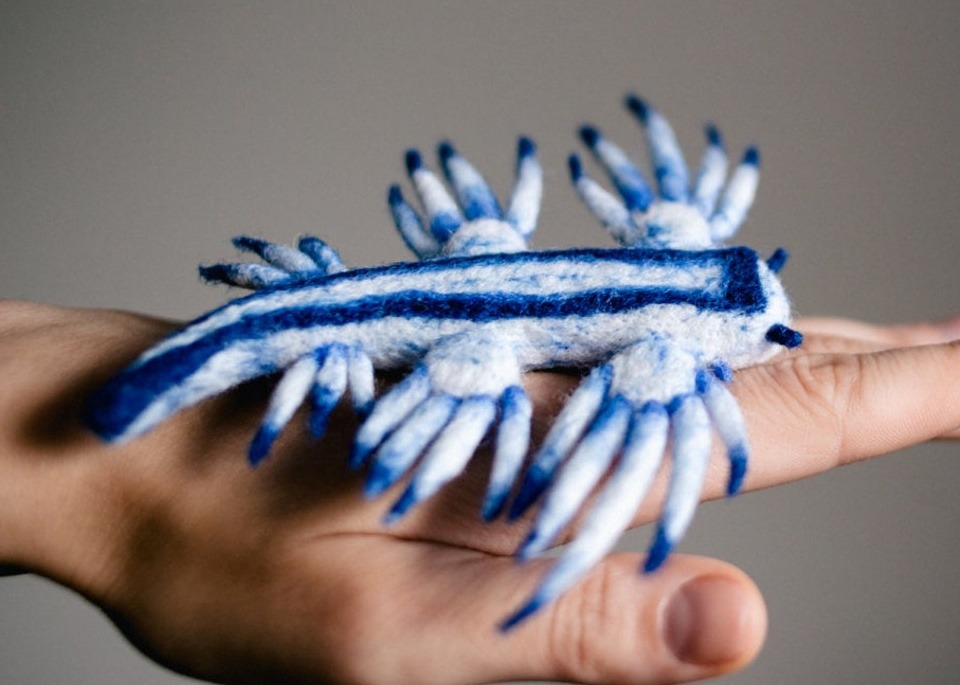 Colorful Needle Felted Sea Slugs By Arina Borevich 8