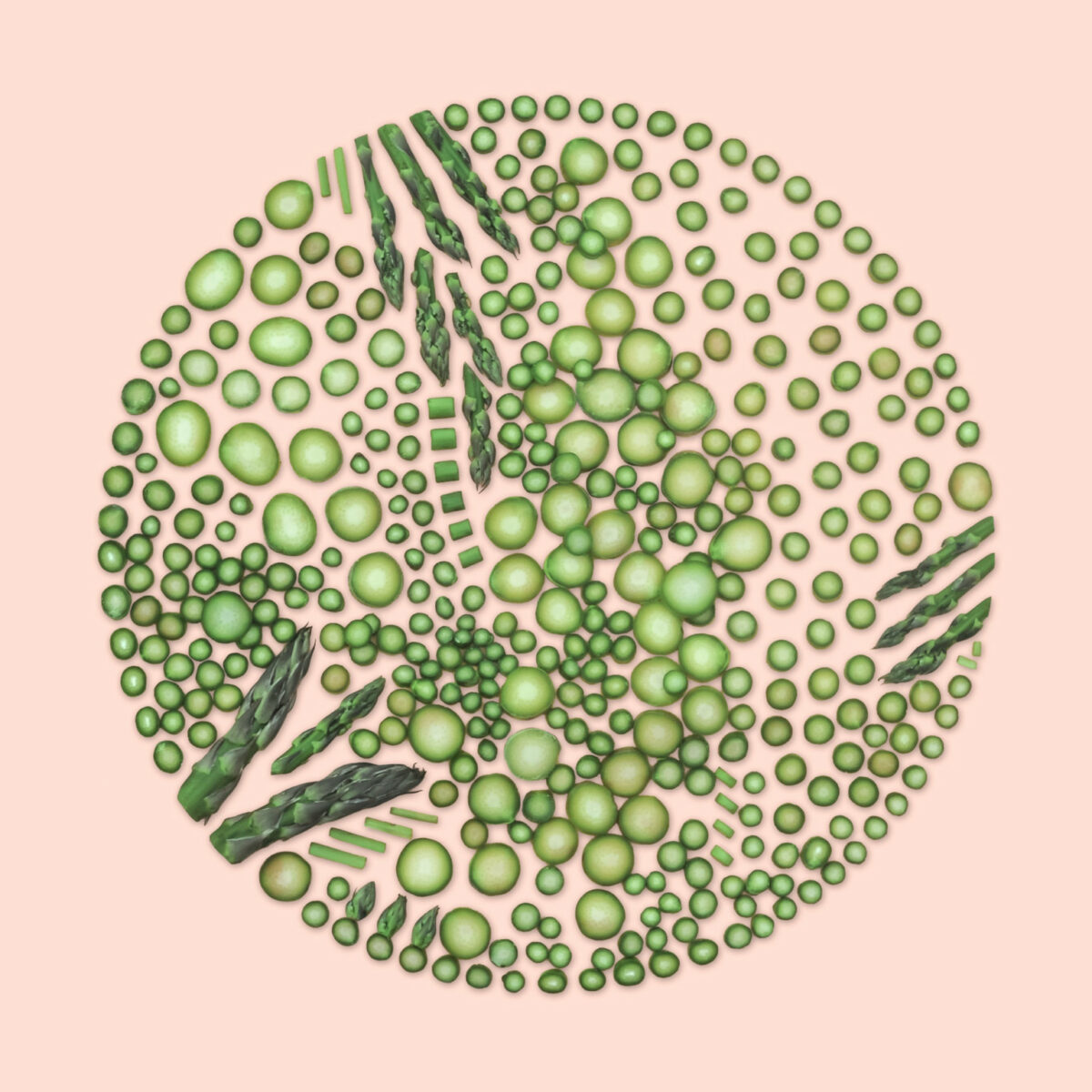 Incredible Mosaics Made Of Natural Materials Food And Everyday Objects By Kristen Meyer 1