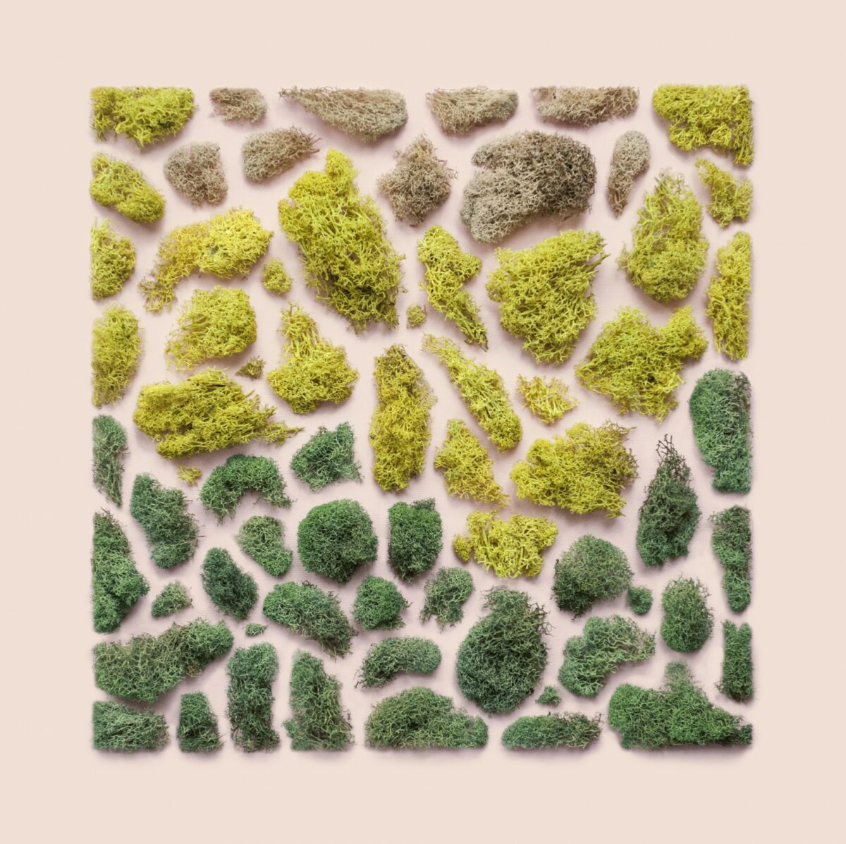 Incredible Mosaics Made Of Natural Materials Food And Everyday Objects By Kristen Meyer 10