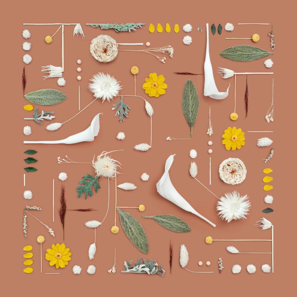 Incredible Mosaics Made Of Natural Materials Food And Everyday Objects By Kristen Meyer 12