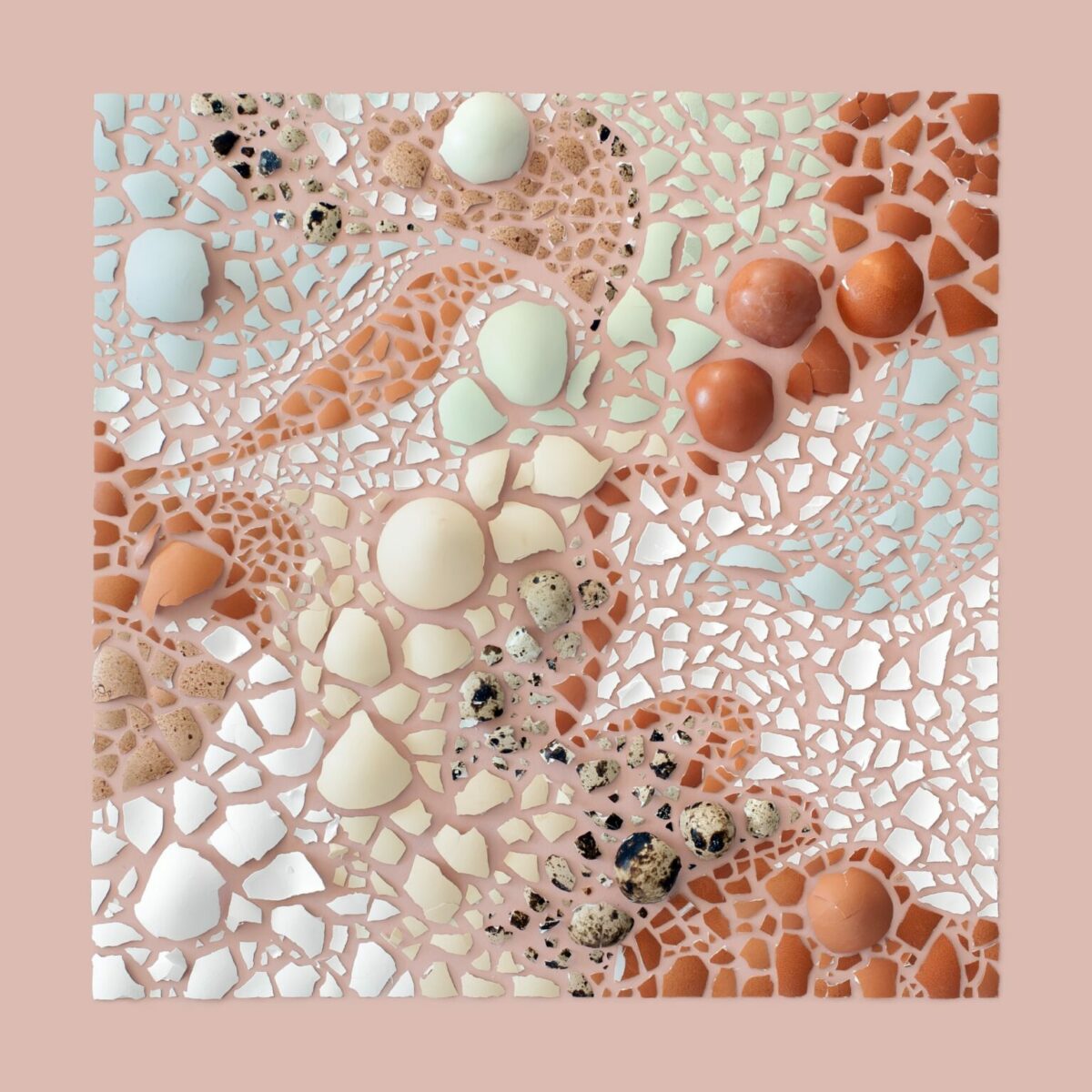 Incredible Mosaics Made Of Natural Materials Food And Everyday Objects By Kristen Meyer 19