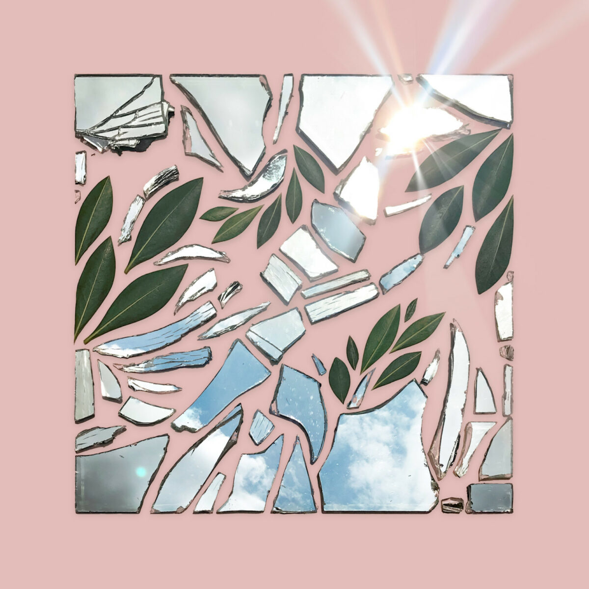 Incredible Mosaics Made Of Natural Materials Food And Everyday Objects By Kristen Meyer 2