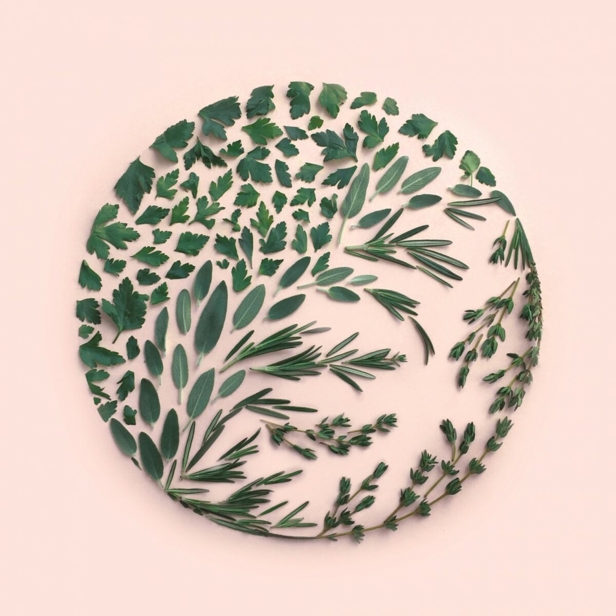 Incredible Mosaics Made Of Natural Materials Food And Everyday Objects By Kristen Meyer 20