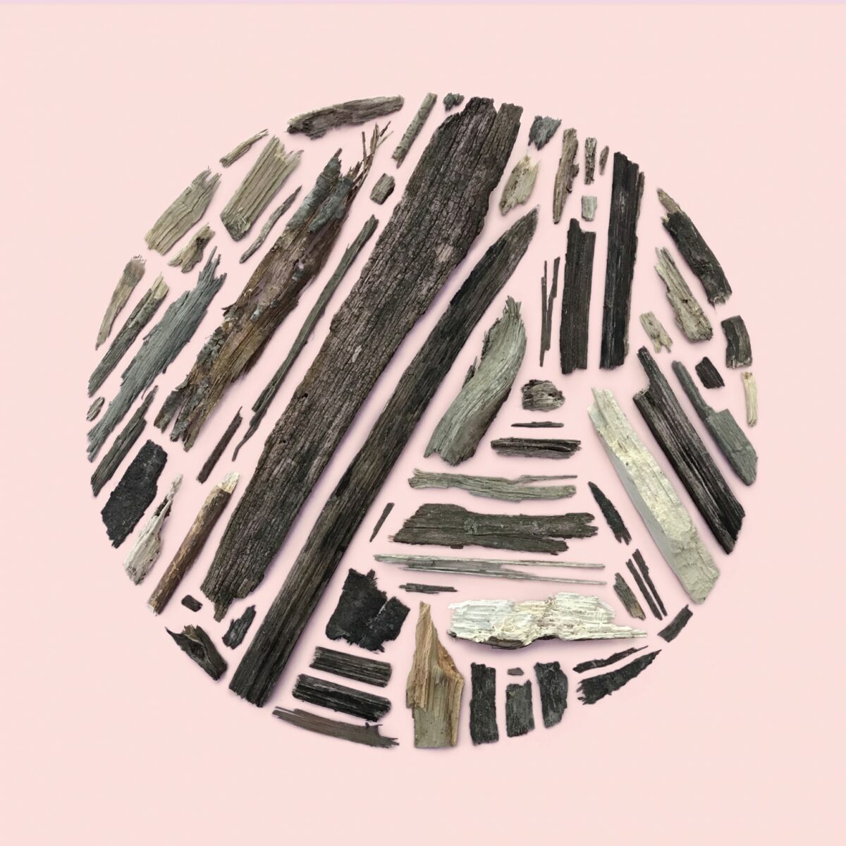 Incredible Mosaics Made Of Natural Materials Food And Everyday Objects By Kristen Meyer 24